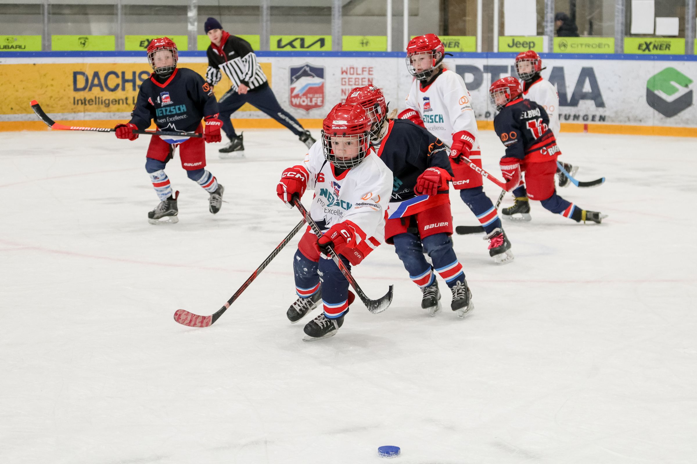 selberwoelfe juniors