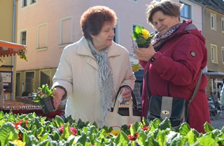 selb markt 03172