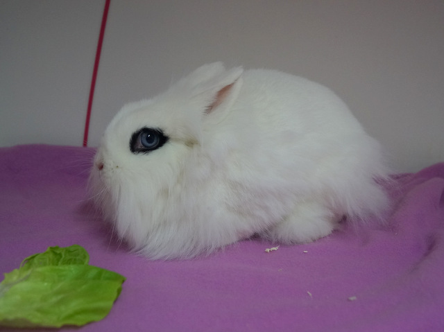 tier0117abby