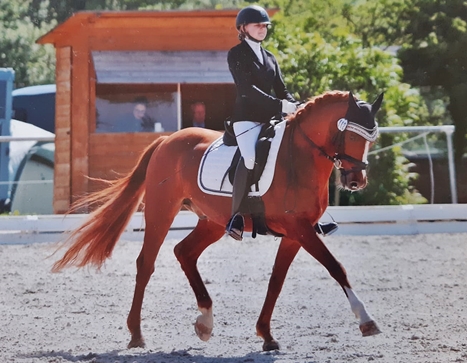 reitverein selb 07192