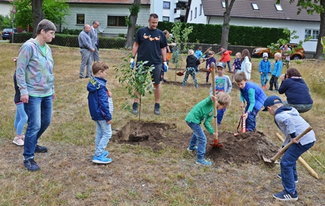 selb wiesenfest baumpflanzaktion 2019