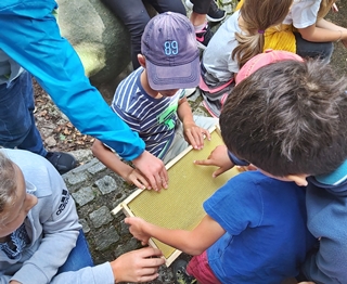 buecherei selb bienen