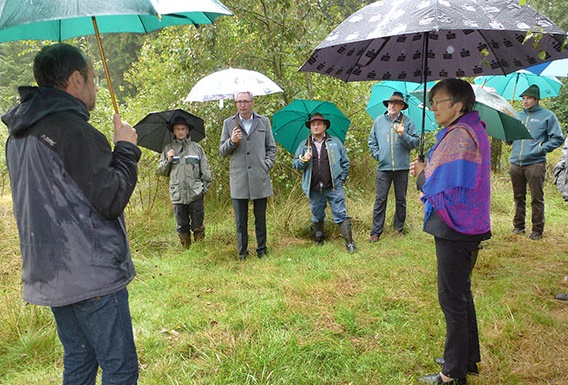 moor selb haeusselloh 2019