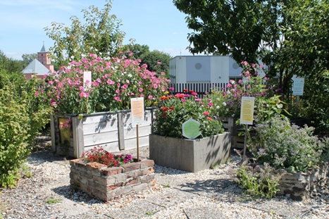 bluetenpracht erkersreuth selb 08201