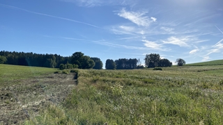 moor oberweissenbach 3