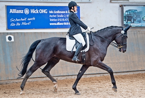 reitverein selb 08201
