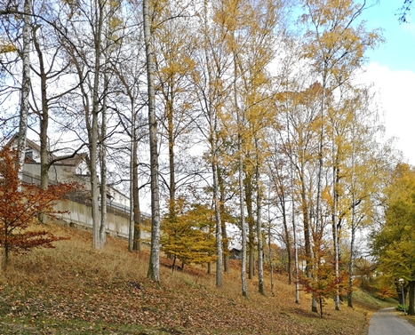selb pfaffenleithe 12201