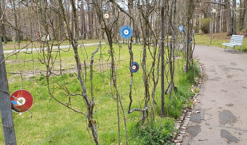 selbkultur 05212