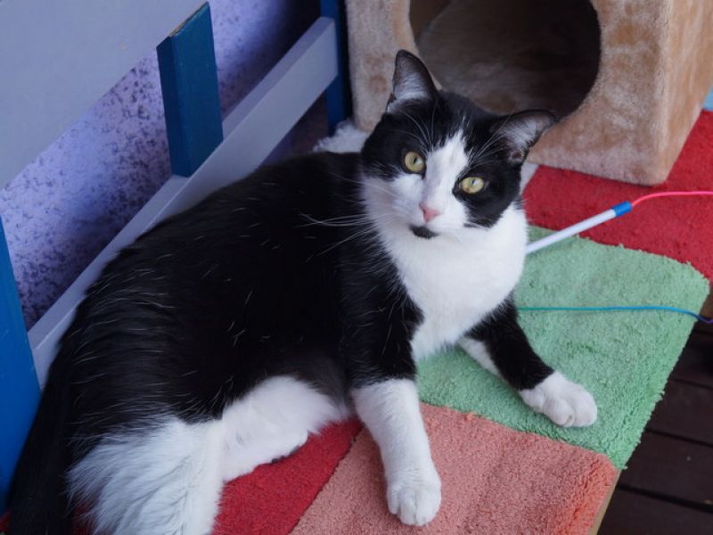 tier selb 0420 lenny