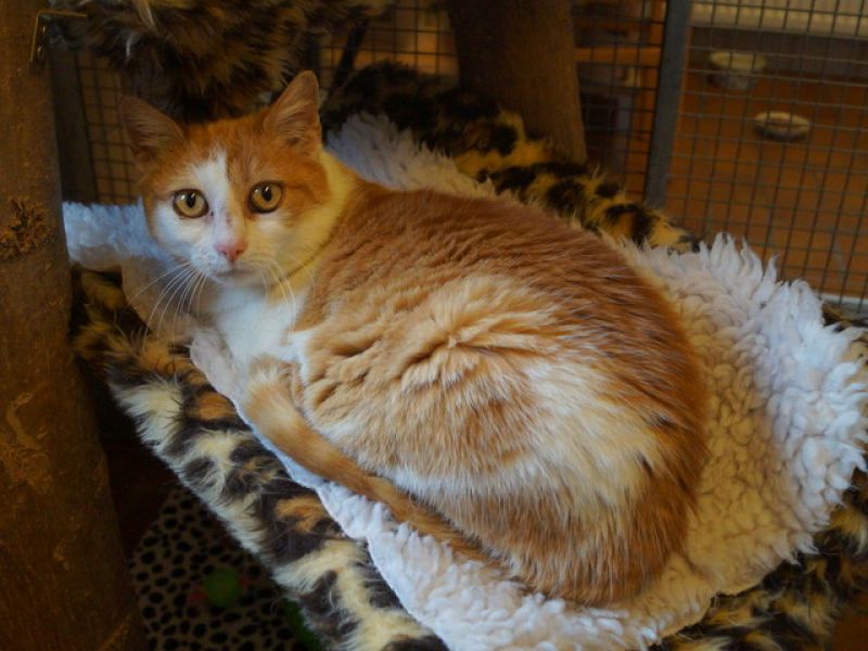 tier selb 0521 charlene