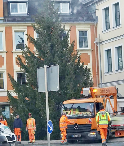 weihnachtsbaum selb 2020