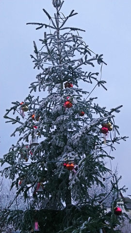 weihnachtsbaum erkersretuh 1220