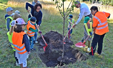 wiesenfest selb baumaktion 2020