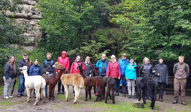 Alpaka Wanderung Ortsgruppe Selb Hohenberg