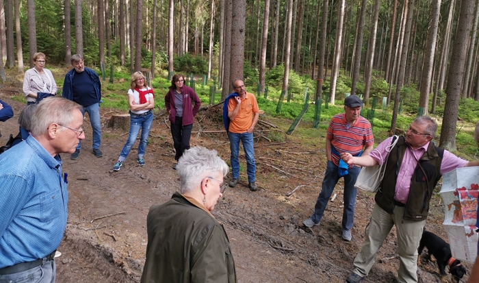 Hammerwald Bild 1