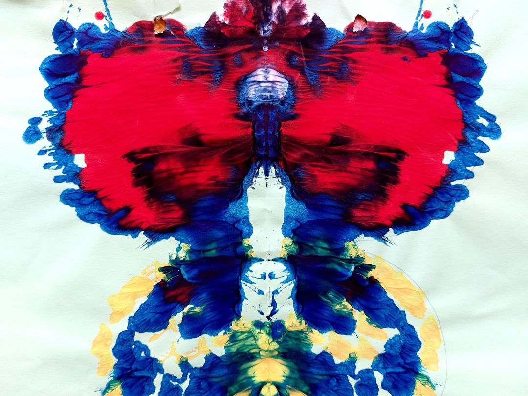 Schmetterling