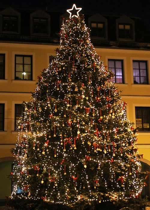 Weihnachtsbaum Selb