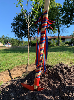 apfelbaum selb wiesenfest