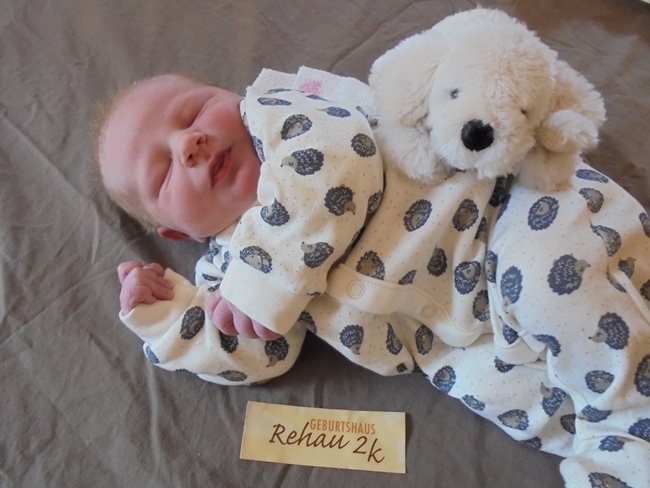 baby selb erik