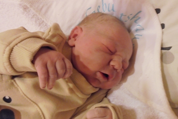 baby selb luis