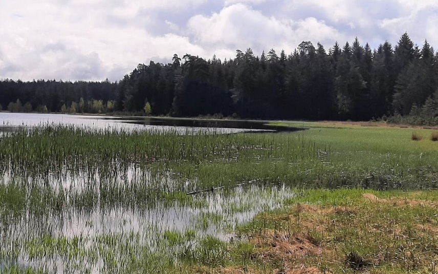 breiter teich selb 11212