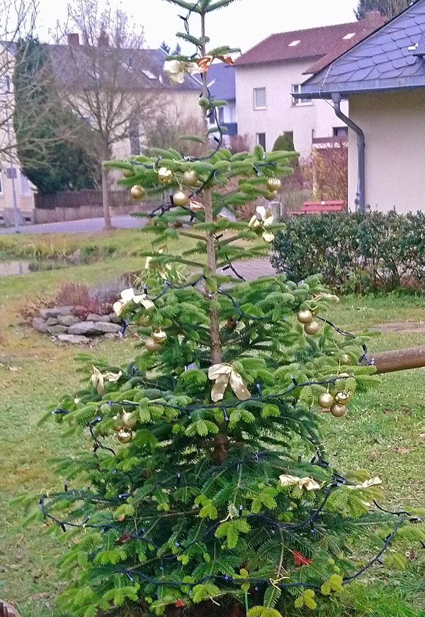 erkersreuth advent 1121