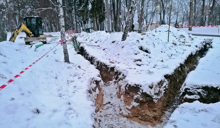 goldberg selb 0123