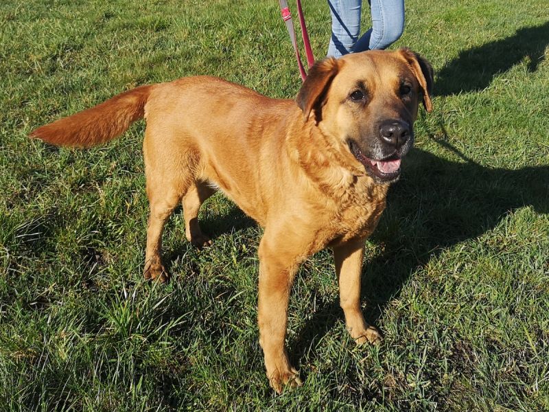 tier selb 0723 sandy