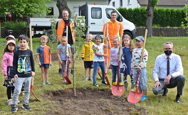 wiesenfest selb baum 2021 1
