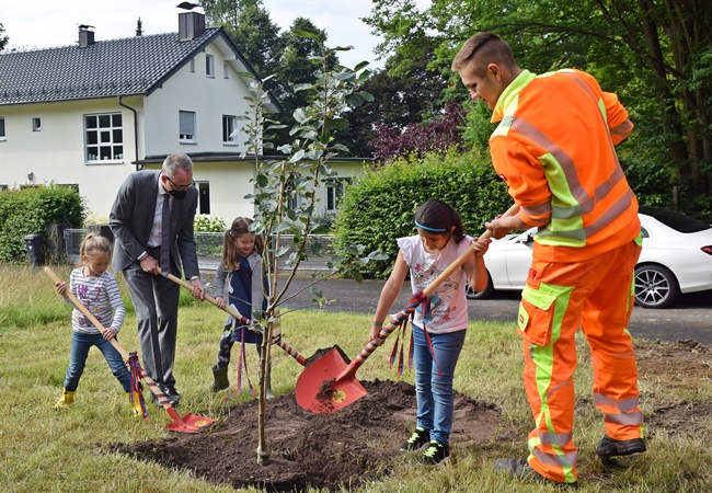 wiesenfest selb baum 2021 2