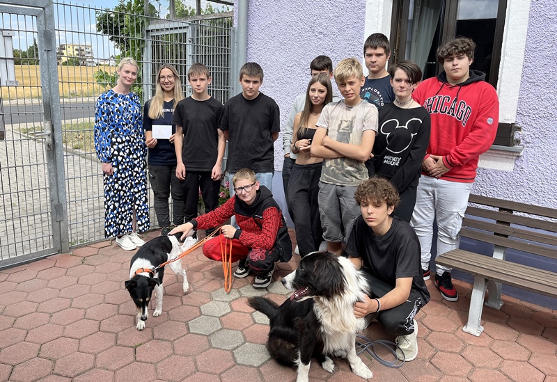 Tierheim Bild 002