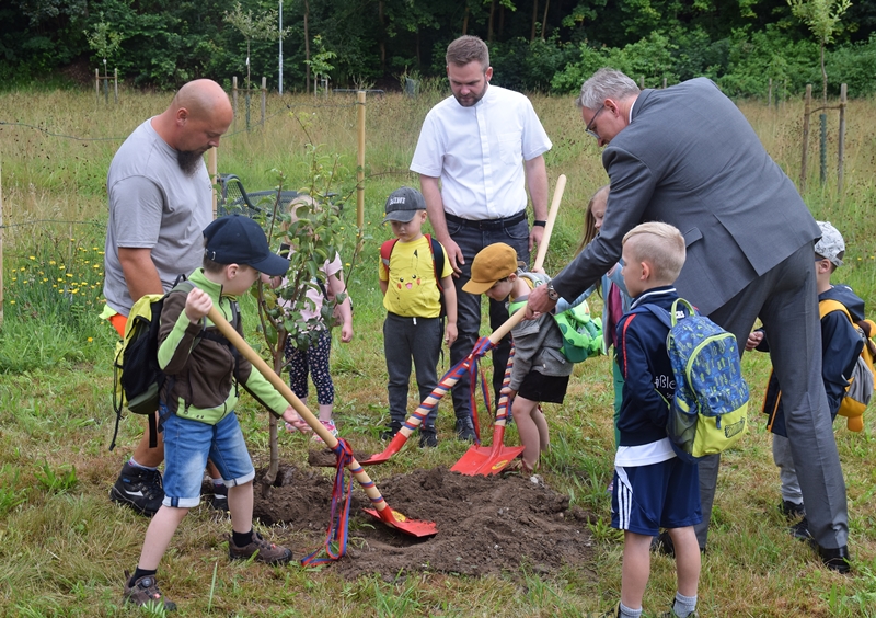 wiesenfest selb baum 0724