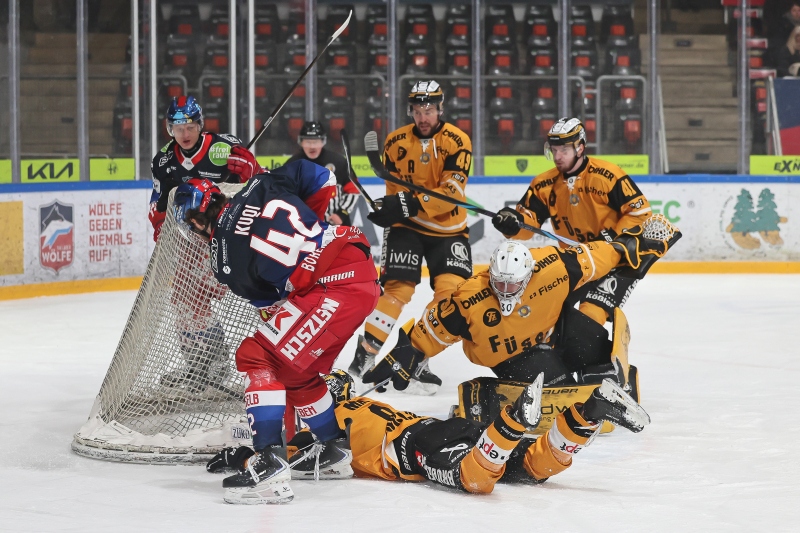 20260120 SEL EVF 037 002