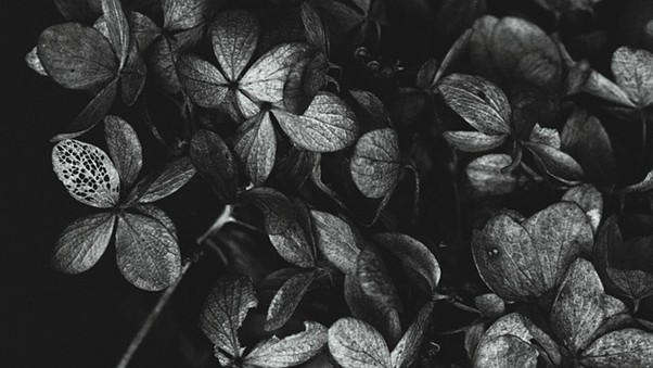 bestattung hochfranken