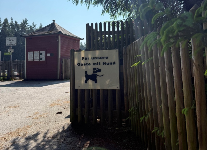 hund lago selb 0625