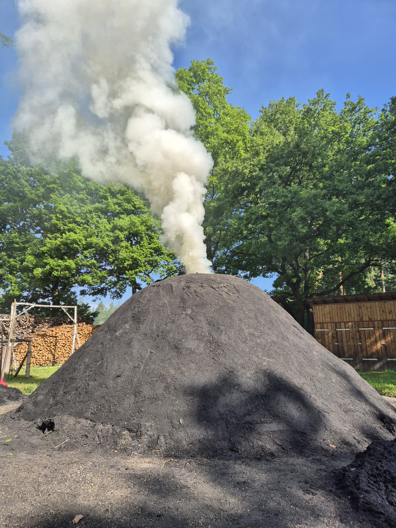 meiler selb 06251