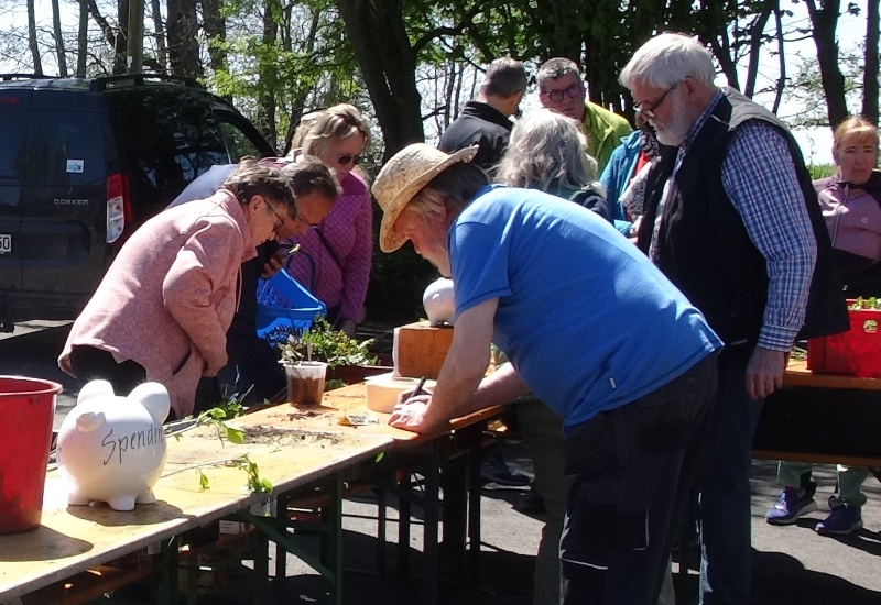 staudentauschtag selb heidelheim 04252