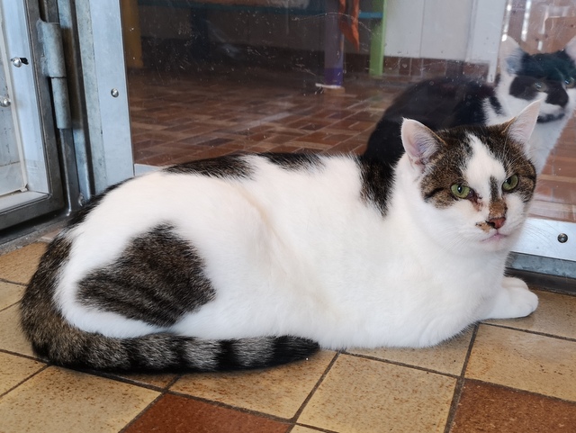 tier selb 0126 leylo