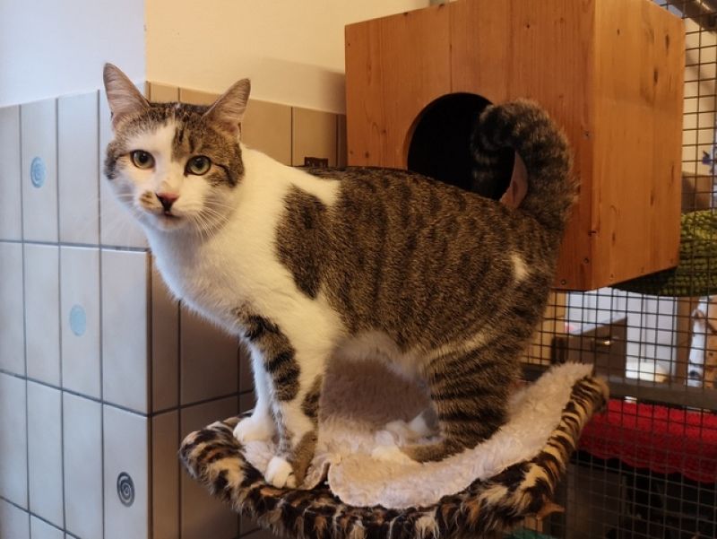 tier selb 0226 seppel