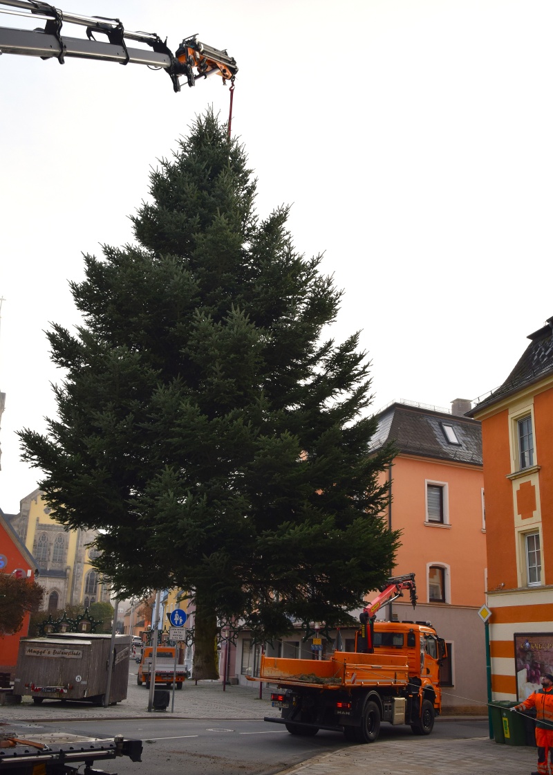 weihnachtsbaum selb 2025 1