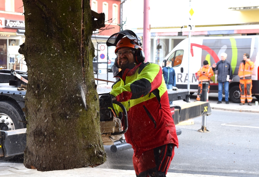 weihnachtsbaum selb 2025 2