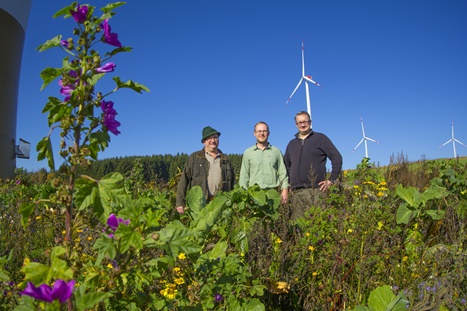 esm windpar bluetenbrache