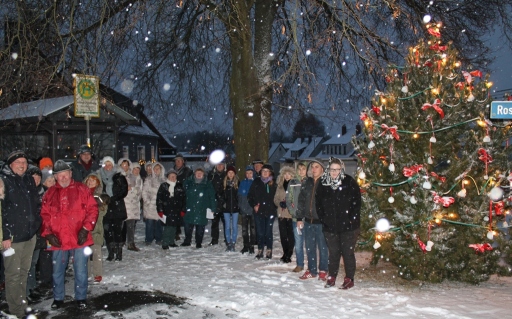 vieltz singen 2017