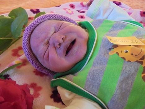 baby selb dittrich