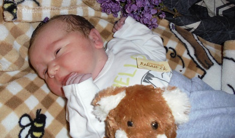 baby selb koschig