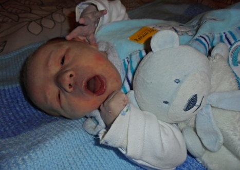 baby selb 12181