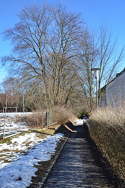 baum kappel selb 02191