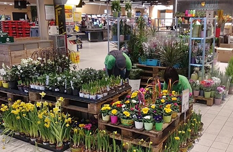 edeka egert selb blumen