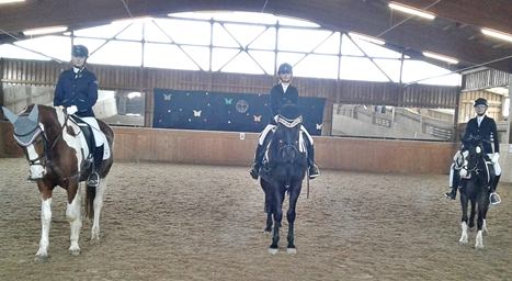 reitverein selb 03192