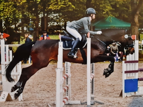 reitverein selb 05192